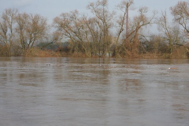 Hochwasser Seligenstadt 18.01.2011 005.JPG